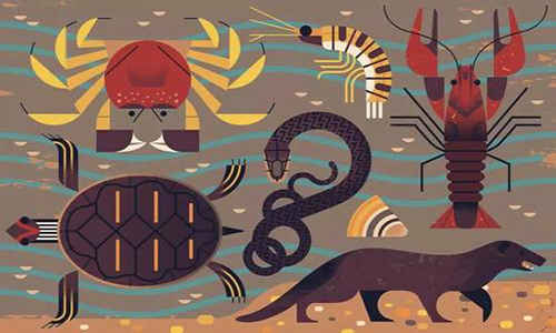 美國藝術(shù)專業(yè)留學(xué)申請(qǐng)材料清單