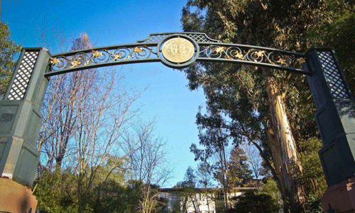 加州藝術(shù)學(xué)院CalArt純藝術(shù)專(zhuān)業(yè)申請(qǐng)要求