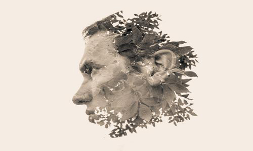 美國攝影專業(yè)大學申請要求盤點