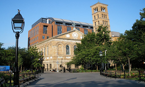 紐約大學有哪些熱門專業(yè)？