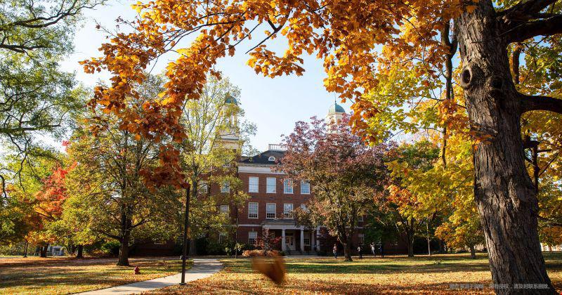 干貨!美國留學(xué)申請文書寫作突出特點(diǎn)總結(jié)