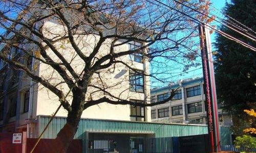 女子美術(shù)大學(xué)入學(xué)條件是什么？