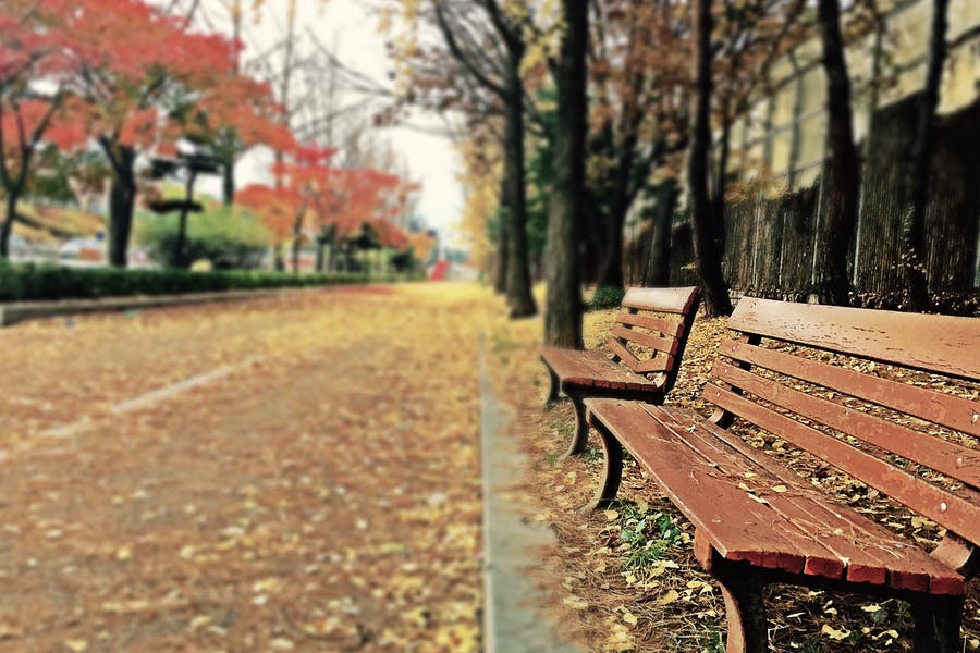 應(yīng)該如何進(jìn)行多家出國留學(xué)中介機(jī)構(gòu)的對比分析？