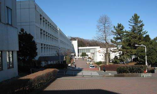 日本藝術(shù)留學選擇拓殖大學怎么樣？