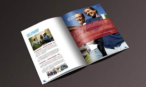 平面設(shè)計專業(yè)留學(xué)院校有哪些？