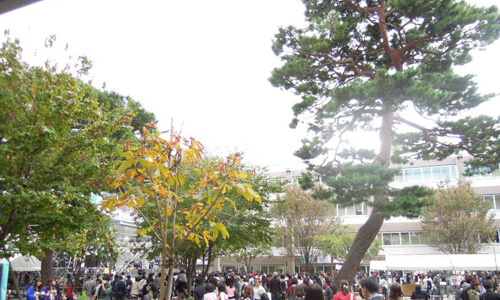 日本成城大學(xué)留學(xué)怎么樣？