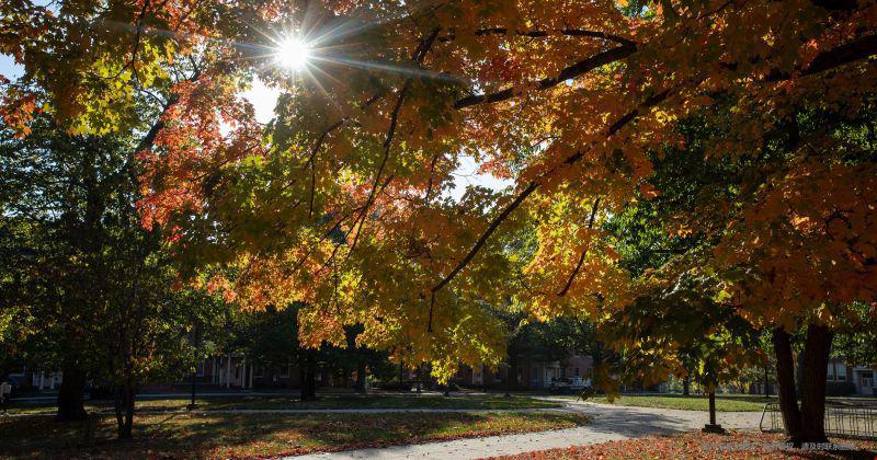 美國約翰霍普金斯大學碩士研究生專業(yè)都有什么哪些？