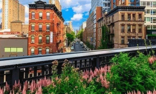 茱莉亞音樂學院留學專業(yè)有哪些？