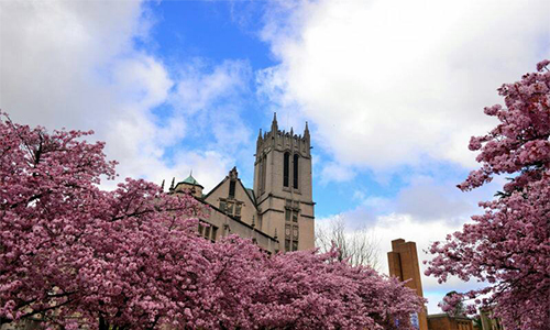 申請景觀設(shè)計專業(yè)如何準(zhǔn)備作品集？