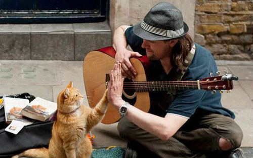 交互就業(yè)很難嗎？卡內(nèi)基梅隆大學(xué)交互設(shè)計(jì)給你的開掛！