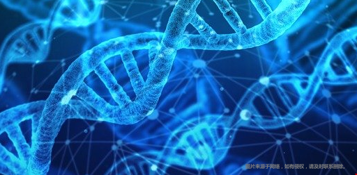 美國哪些學校有生物統(tǒng)計碩士？