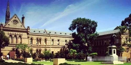 阿德萊德的大學