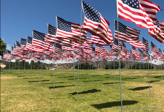 美國本科大學(xué)專業(yè)分類有哪些？