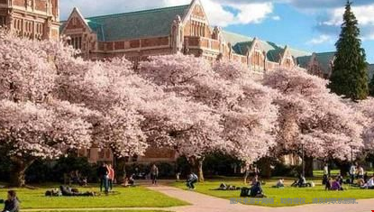 美國科技公司最喜歡的大學(xué)是哪幾所？