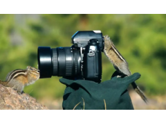 手動(dòng)對(duì)焦用于風(fēng)光攝影拍攝技巧？