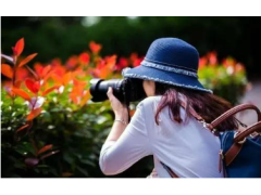 初學(xué)者小白怎么拍好看的照片？