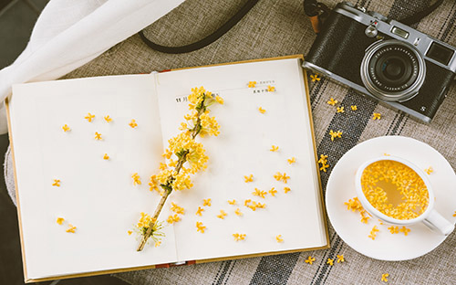 成人高考什么時候可查分？