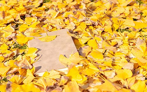 成人高考學(xué)歷提升培訓(xùn)班怎么樣？