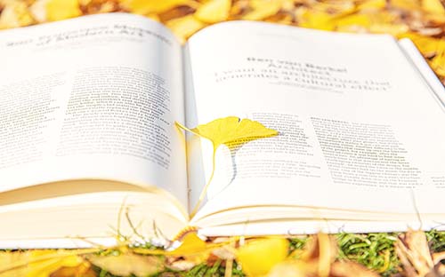 成人高考提升大專有什么專業(yè)？