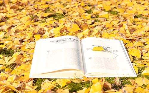 成人高考專升本語文考什么？