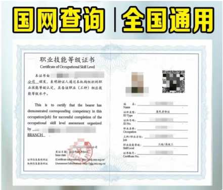 國網(wǎng)查詢、全國通用職業(yè)技能等級證書